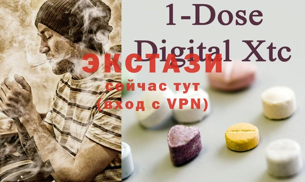 ECSTASY Алзамай