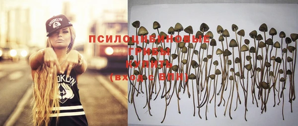 тгк Алексеевка