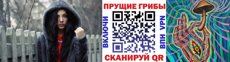 как найти закладки  Кремёнки  блэк спрут зеркало  Псилоцибиновые грибы ЛСД 